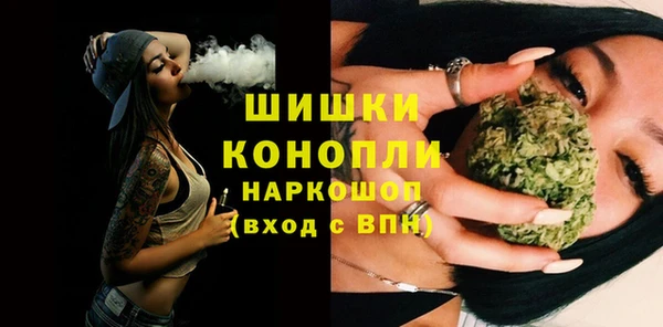 хмурый Инсар