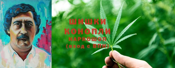 хмурый Инсар