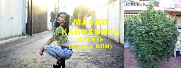хмурый Инсар