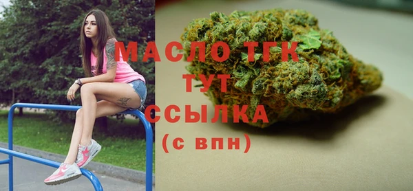 хмурый Инсар