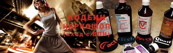 хмурый Инсар