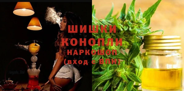 хмурый Инсар