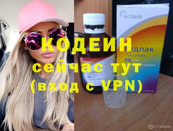 хмурый Инсар